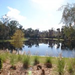 Water view in Artisan Park in Celebration Florida